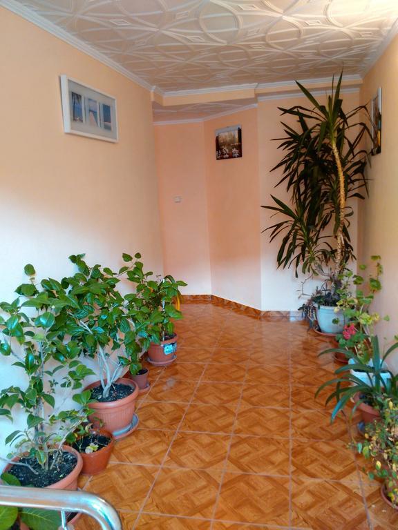 Vila Marcela Busteni Room photo