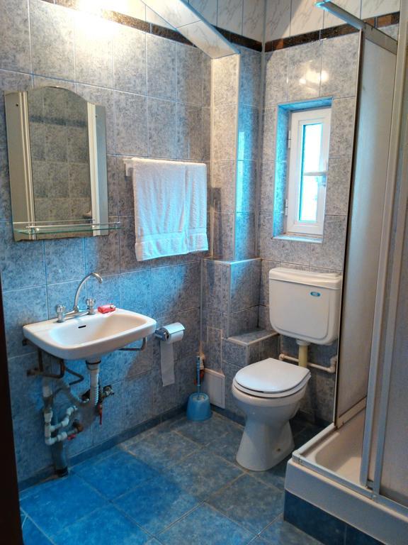 Vila Marcela Busteni Room photo