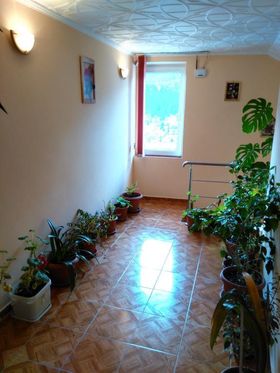 Vila Marcela Busteni Room photo